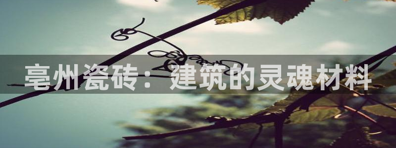 杏鑫注册登录地址