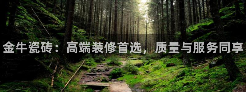 杏鑫平台代理注册流程