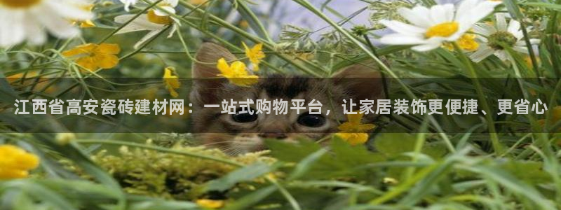 杏鑫平台怎么样黑钱吗是真的吗