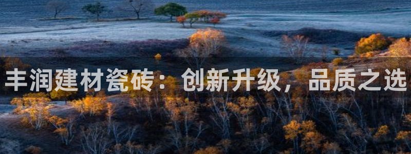 杏鑫官网最新信息新闻