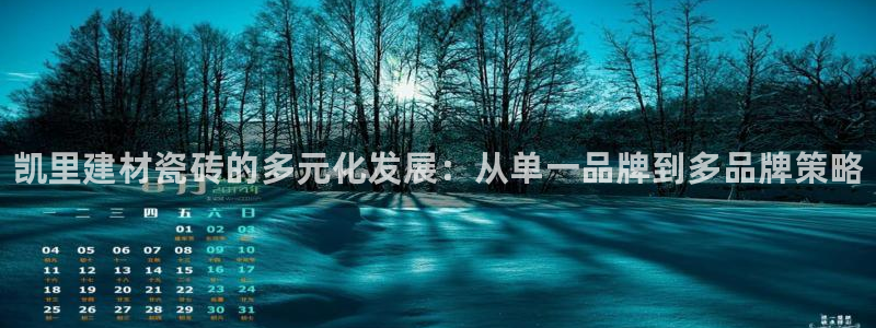 杏鑫平台登录地址是什么