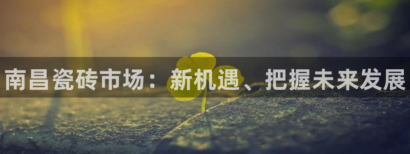 杏鑫平台招商电话