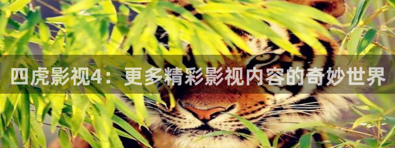 依依电影