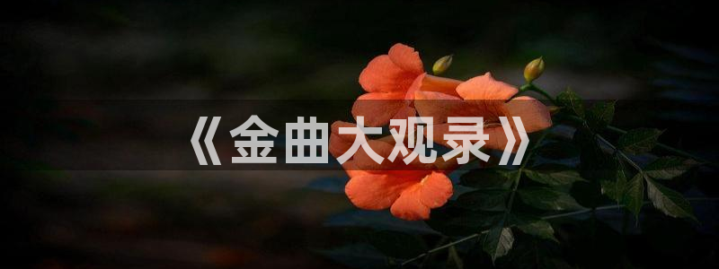 依依高清电影