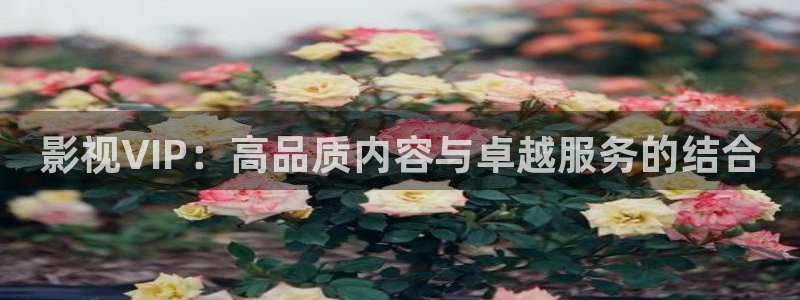 成人依依热影院
