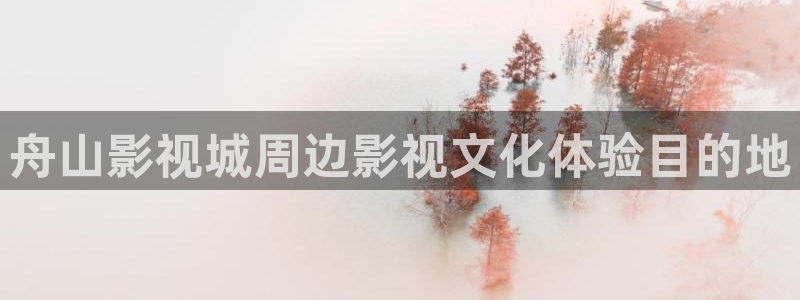 精品国产18久久久久久依依影院
