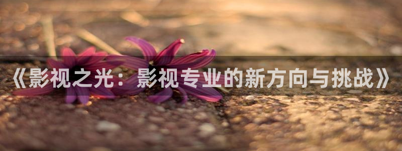 依依电影完整版：《影视之光：影视专业的新方向与挑战》